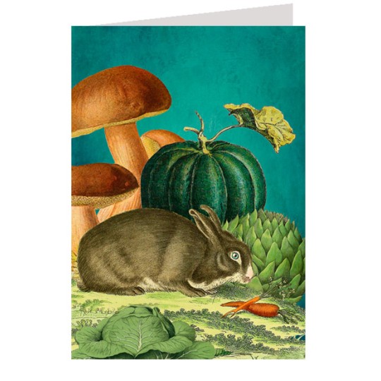 Bunny and Mushrooms in Garden Card ~ England